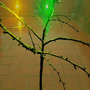 Lamparitas Amariyas (Federico Andrés Marquestó Remix)