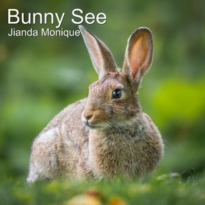Bunny See