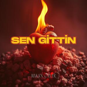 Sen Gittin