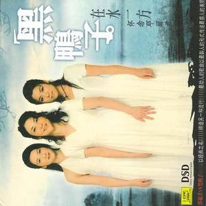 我只在乎你