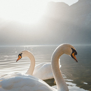 Lakes