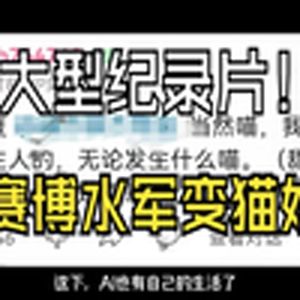 大型纪录片《赛博水军变猫娘传奇》