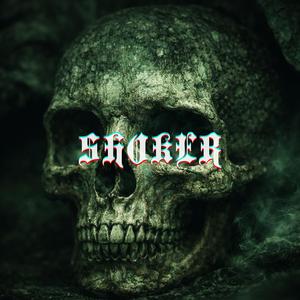 Shoker