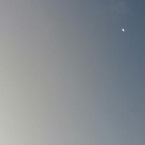 宇宙的脉理——阿维森纳 (地上の星 中文填翻)