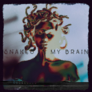 Snakes In My Brain