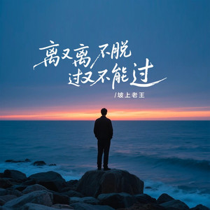 离又离不脱过又不能过