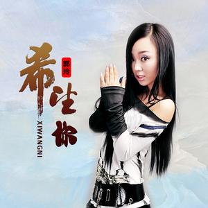 希望你 (DJ何鹏版伴奏)