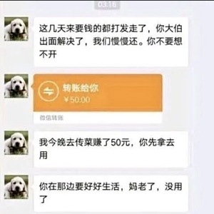 网愈云