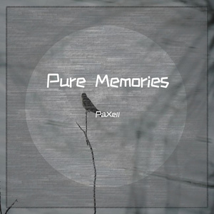 Endless Recollection