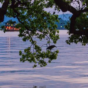 坐下~坐上我的副驾