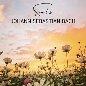 Sonata For Flute & Harpsichord In A (Bwv 1032)