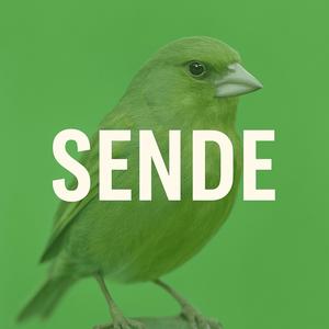 Sende