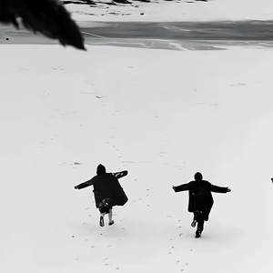 回声