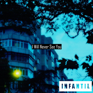 I Will Never See You (Slowed)