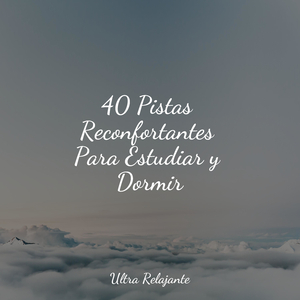 Pausas De Descanso