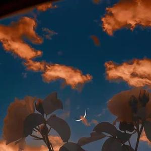 3月24日 下午9点30分