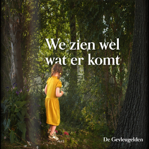 We Zien Wel Wat Er Komt