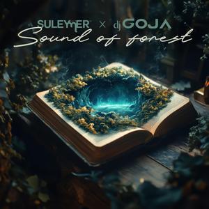 Sound Of Forest