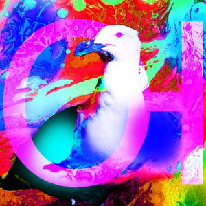 Vingt Canards [Vingt et Un Concept]