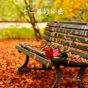 十二月的秘密