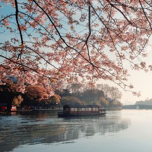 第六个季节里