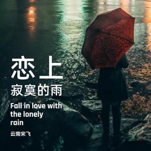 恋上寂寞的雨