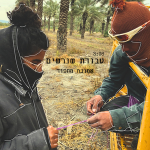 עבודת שורשים