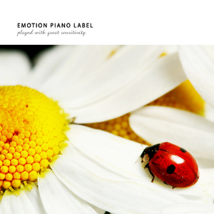 초원에서 In The Meadow