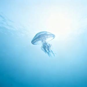 一生牵挂