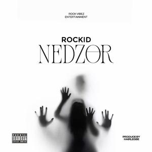 Nedzor