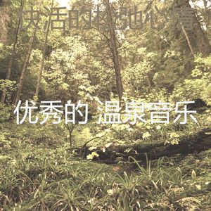 一尘不染回春印象数