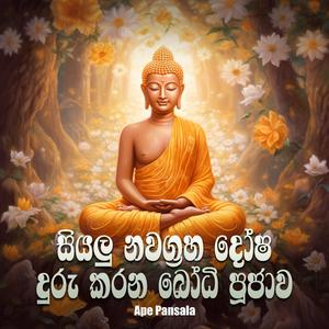 Siyalu Nawagraha Dosha Duru Karana Bodhi Poojawa