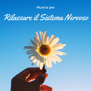 Stai calmo