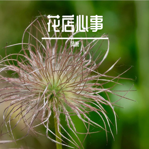 花店心事