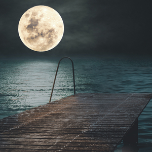 Waiting For The Night (Night Fly Mix)