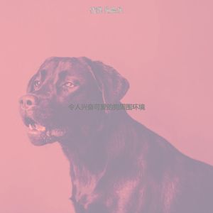 有趣可爱的狗情怀