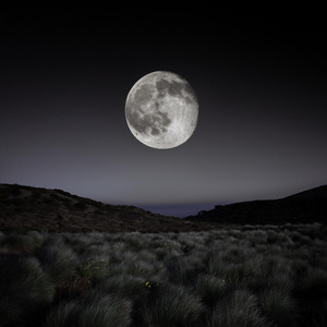 El Suave Silencio De La Noche