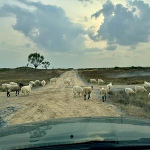 坏结局（Prod.BLACKFAT洪汝超＆No Birthday）