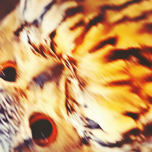 雨が止みました