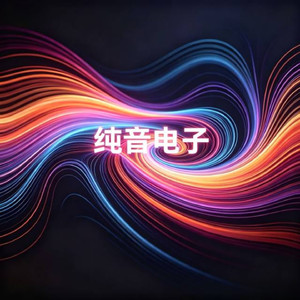 纯音电子