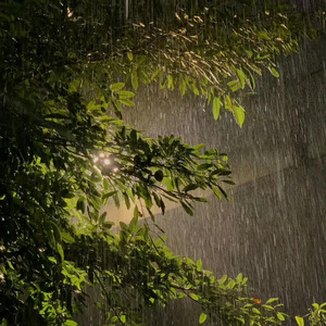 你不能对淋雨的我说要我乖