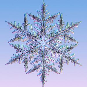 Sniegpaarslinnas dziesma