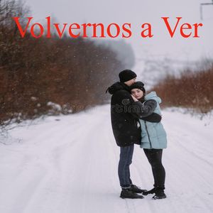 Volvernos a Ver