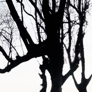 唇印（Prod.BECU BEATZ）