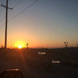 Domicile