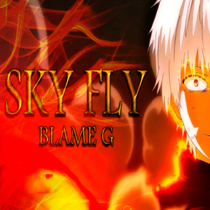 Sky Fly