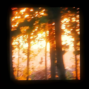 when our memories fade,