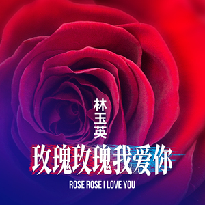 玫瑰玫瑰我爱你 (DJ默涵版)