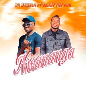 Nwananga (feat. SEAMY THE PRO)