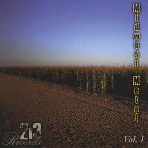 Diskreet - Once the way was wrong